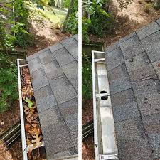 Gutter Cleaning