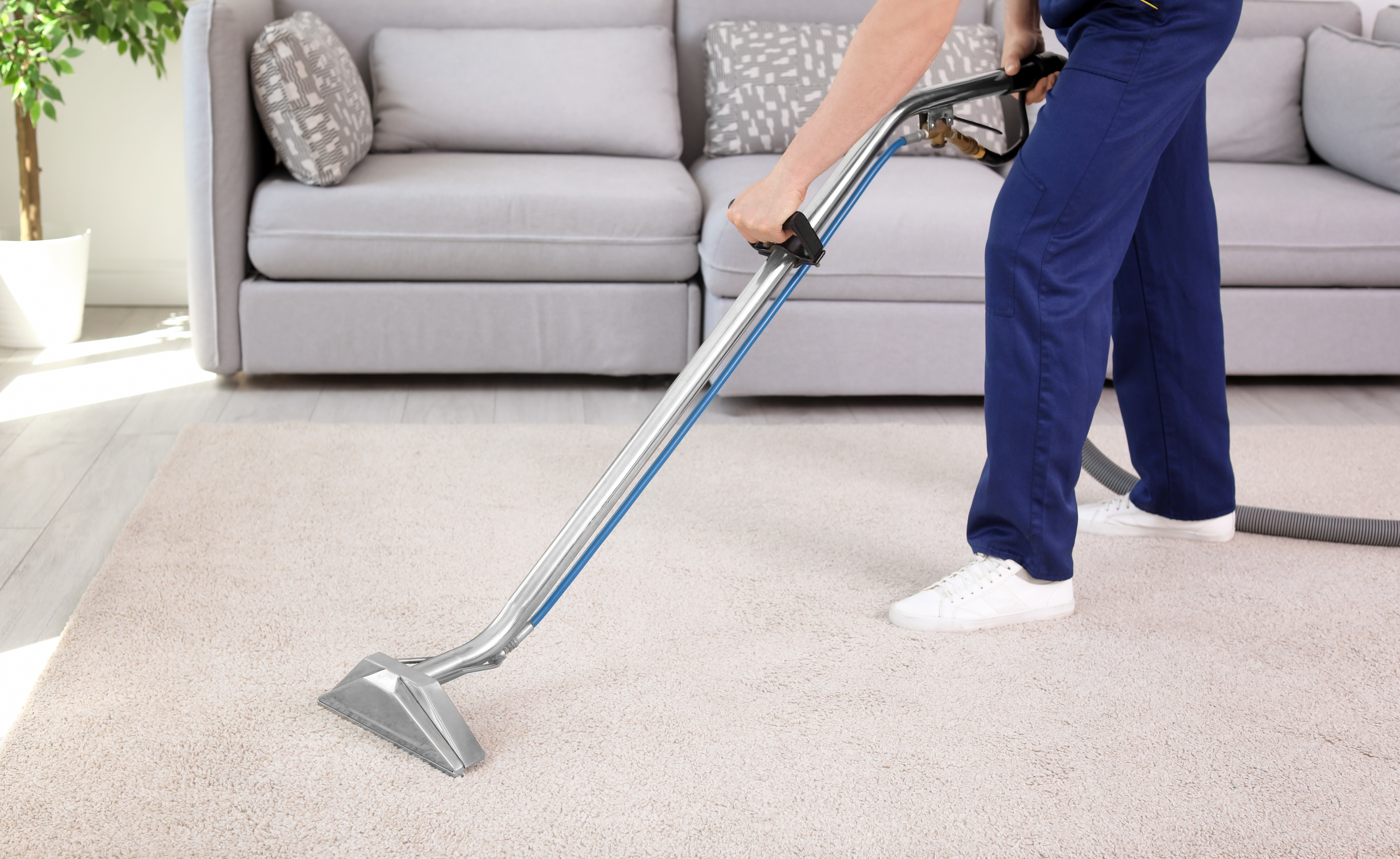 Deep Cleaning Results