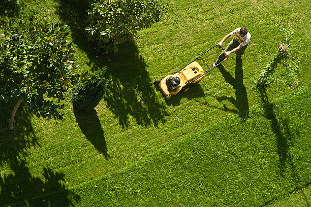 Lawncare Service